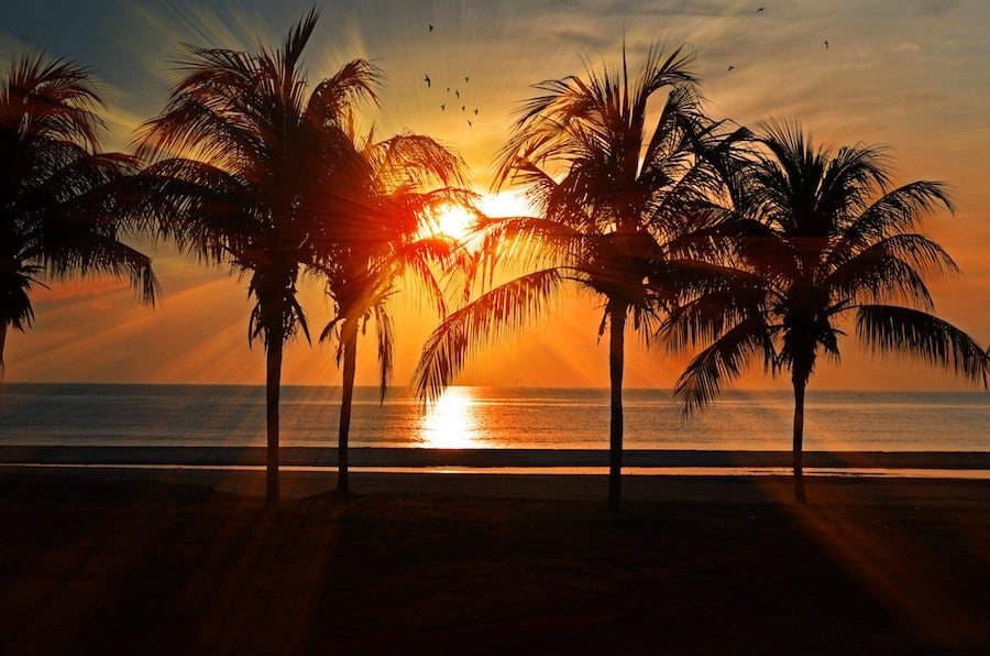 beach and palm trees sunset ocean clouds