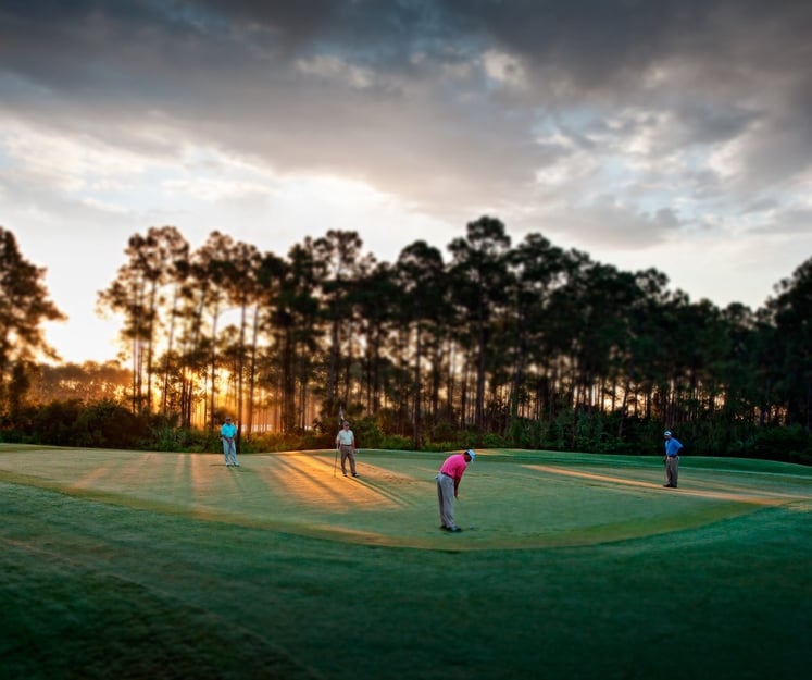 Mediterra Golf Community in Naples Florida